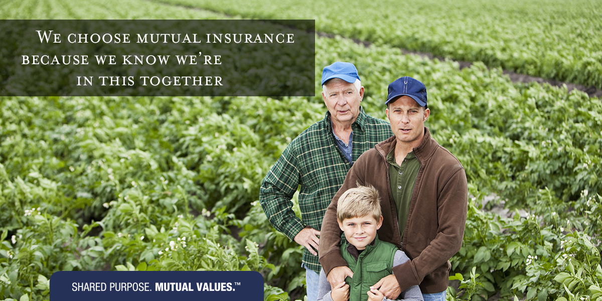 Lakeview Mutual Insurance Company